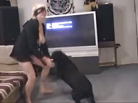 The dog lover