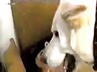 Two zoophile girls and a dog in this homemade video