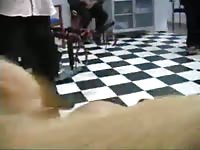 Two slutty girls for a dog
