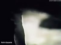 Vintage dog fucking