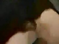Willing young bitch being used hard