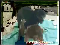Woman fuck a dog no 3