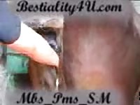 Women with mares pms sm sample 05