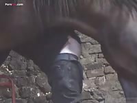 Young guy gets mounted by full stallion