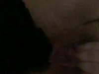 My dog licking my pussy and anal - Dog Porn