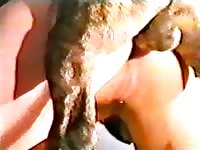 Pitbull gives teen zoophilia Girl hard knot remastered - Animal Sex Homemade