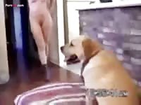 Playing with my dog