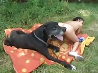 Riding big dog in the field