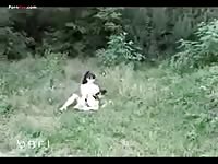 Rivate dog show aprdv004 part