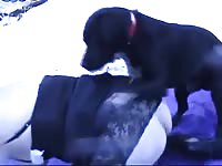 Scoop and the snow bunny2