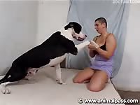 Shaved head woman fucks dog