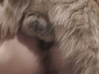 Shawn loves the knot