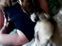 Tanya and olya from teamrussia zoo - Dog Porn