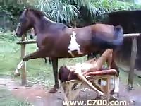 Horseslut playing