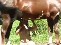 Kimberly and horse2 - horse porn