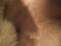 Knotwithguy