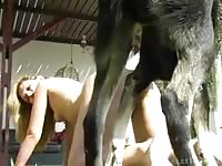 Leticia dog 04 tube mp4 video mp4 leticia dog 04 tube