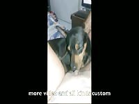 Licking so good - Zoo Porn Sex