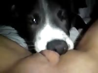 Lilip lilp and her lil pup