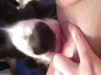 Makita 14 02 2014 beastforum - Dog Porn