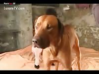 Masked woman mauled by monster