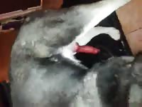Masterbate 1