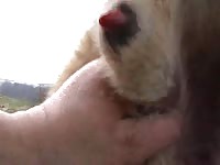 Masturbate dog 2 - Dog Porn