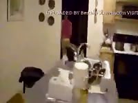 Mature fucks dog