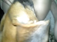 Me and my ex being pervs on speed - Dog Porn