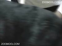 [ Zooskool ] Melissa 4play