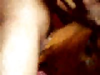 Men fuck dog hard2