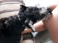 [ mexzoo - Dog Sex Homemade ] miss fernanda 5 first time 4
