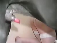 Miniature babe and very big black doggy - animal sex