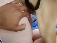 Friends help dog fuck me