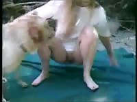 Frisky and bear