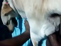 Fucking my bitch2