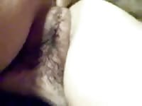 Fucks his mistress and enjoyed it in the background - Dog Porn