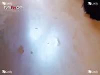 Fun for my dog