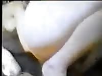 German shepard fucks two teens