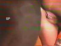 Gifted dog buries everything a slutty girl - Dog Porn