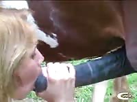 Gionanna and horse