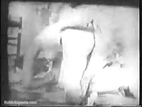 Good old movie couple has sex with an addict dog