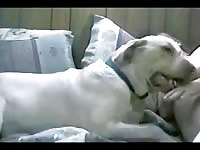 Grandma2