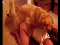 Gril dog