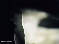 Homemade dog ratvi zappata - Dog Porn