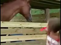 Horny teen gets naked in front of your horse - Horse Porn