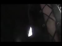 Horse engraft woman