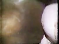 Horses creampie leporno 13