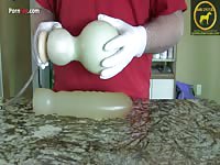 Horses crump technique explained using props - Beastiality Porn