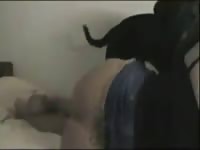 Amateur horny blonde lady fuck dog - Dog Porn